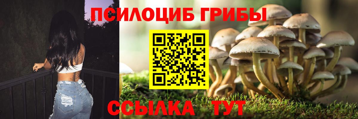 Псилоцибиновые грибы Cubensis  Вход с VPN  Ессентуки 